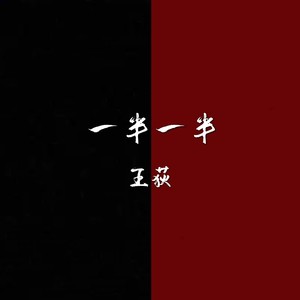 一半一半-王荻