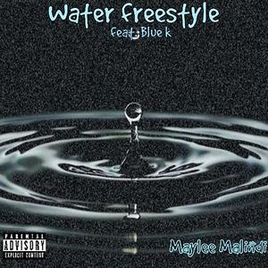 Water (freestyle) (feat. Blue K)