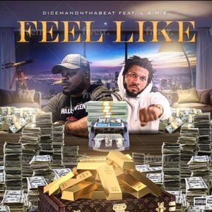 FEEL LIKE(feat. L.A.M.E.) (Explicit)