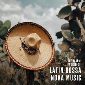 The Warm World of Latin Bossa Nova Music (Brasil Latin Music Lover Edition)