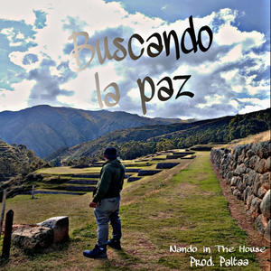 buscando la paz