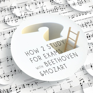 Violin Sonata No. 35 in A Major, K. 526 - III. Presto