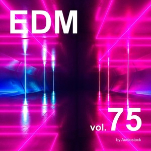 EDM, Vol. 75 -Instrumental BGM- by Audiostock