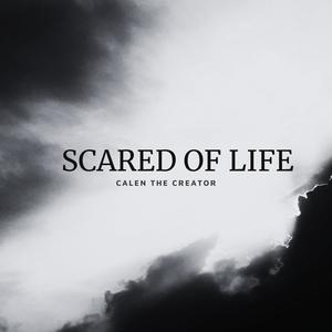 Scared Of Life