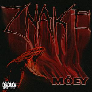 ZNAKE (Explicit)