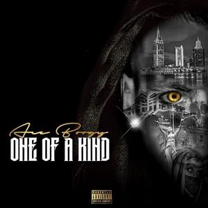 Fly Away(feat. Ryan Sullivan & Ace Boogy) (Explicit)
