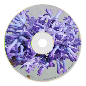 Mind Magic (Original Mix)