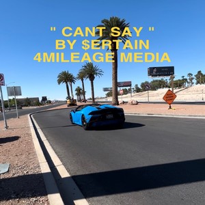 Can't Say (Explicit)