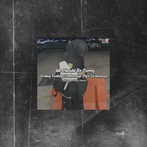 DJ We Should Be Sorry X Poding Poding V2 Mashup Style