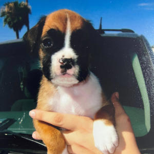 life is a battle (prod.me)