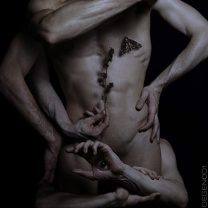 Vertigo (Original Mix)