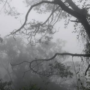 CHANGE (feat. betweentheveinsandi) (Explicit)