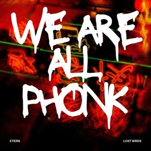 Lost Birds (Original Mix)