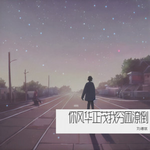 你风华正茂-刘德斌