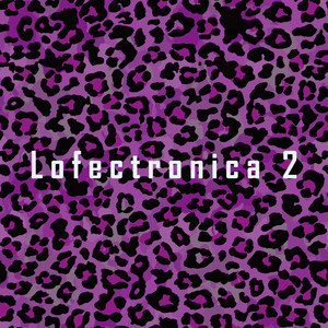 Lofectronica 2