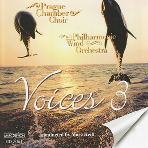 Voices 3