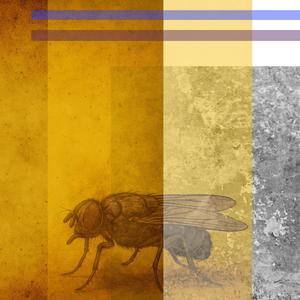 El Señor De Las Moscas (Demo Apócrifo)