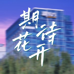 期待花开