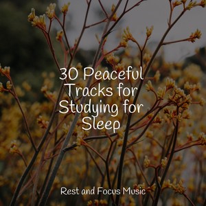 Rest of Meandering Minds