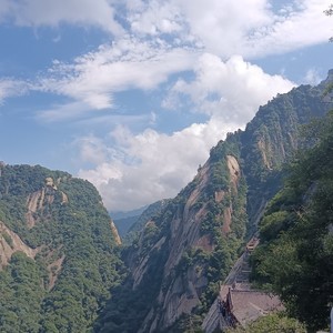 临客封面