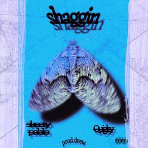Shaggin (feat. Quigley & Drew) (Explicit)