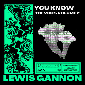 You Know The Vibes V2 (Explicit)