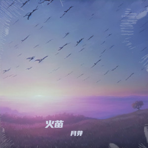 奢香夫人封面
