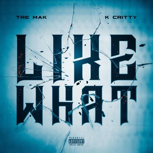 Like What(feat. K Critty) (Explicit)