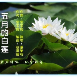 诗酒趁年华 (Live)