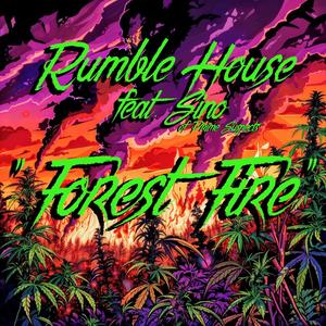 Forest Fire (feat. PS Sino) [Explicit]