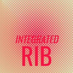 Integrated Rib