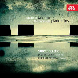 Trio for Piano, Violin and Cello No. 3 in C minor, Op. 101: I. Allegro energico