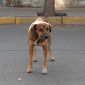 Hablas De Un MC (feat. Fame Apianta & MC Dosis) (samerONE Remix|Explicit)