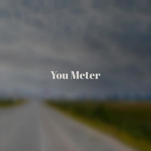 You Meter