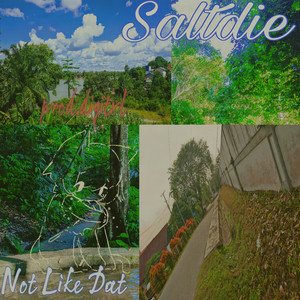 Not Like Dat (Explicit)