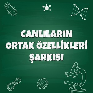 Canlıların Ortak Özellikleri Şarkısı