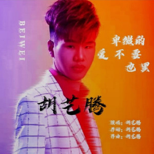 卑微的爱不要也罢