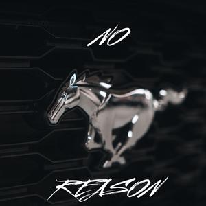 NO REASON