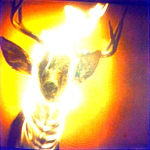 Axed at an apple tree