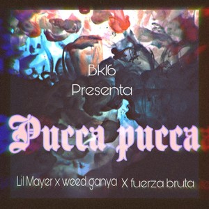 Pucca Pucca (feat. **** ganya rd & fuerza bruta) (Explicit)