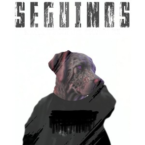 Seguimos