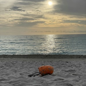 Its A New Day