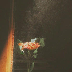 For You (Explicit)