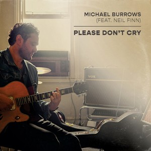 Please Don't Cry(feat. Neil Finn)