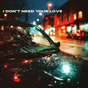 I Don't Need Your Love