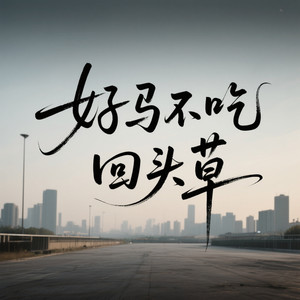 好马不吃回头草(还是相爱总能和好)