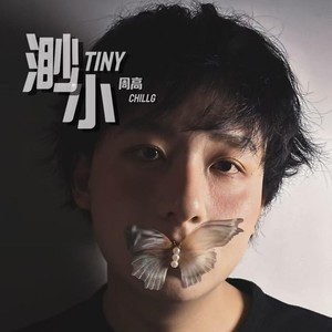 渺小封面