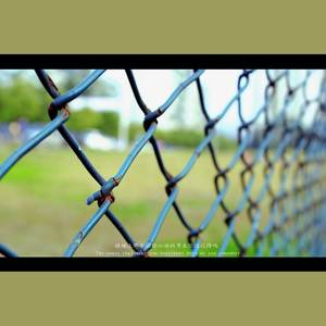 致终将逝去的青春