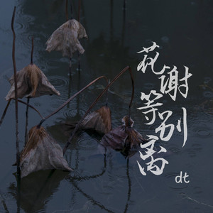 花谢等别离 (DJ版) - dt封面