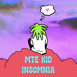 INSOMNIA (Explicit)